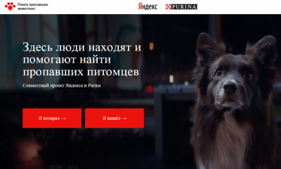 В Рязани запущен спецпроект по поиску домашних животных